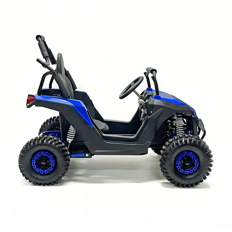 Багги GreenCamel Намиб T008 (48V12Ah 1200W R6 Дифф) аморт