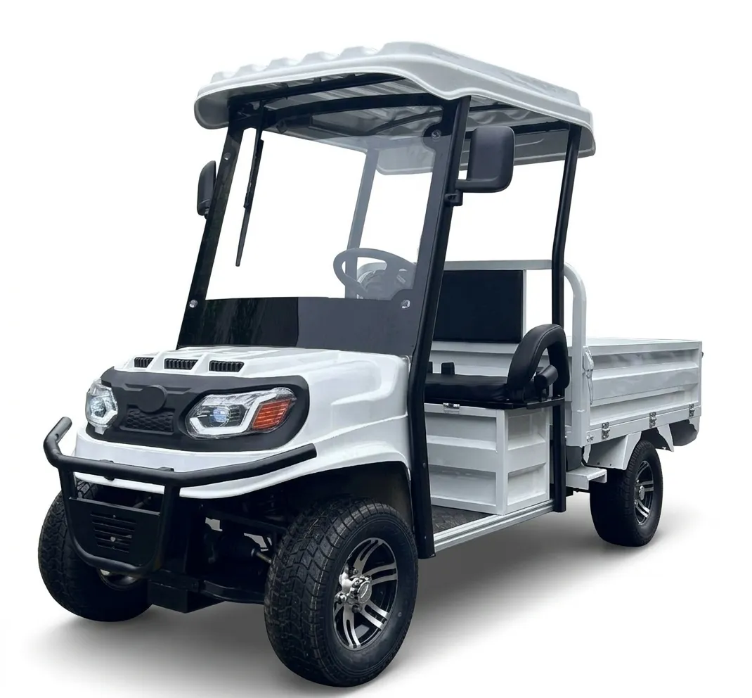 Гольфкар GreenCamel Сонора A2C 1500 (2+Cargo 1800W R10) пониженная