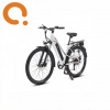 Электровелосипед WHITE SIBERIA CAMRY LIGHT 500W (матовый серебристый)