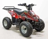 Квадроцикл GreenCamel Гоби K70 (36V 800W R7 Дифф) быстросъем