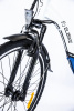 Электровелосипед Elbike GALANT BIG (C11)