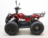 Квадроцикл GreenCamel Атакама T120 (48V20Ah 800W R8 Цепь)