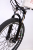 Электровелосипед Elbike GANGSTAR VIP13A(C22)