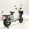Электробайк GreenCamel Транк Монстр (R16FAT 800W 48V15Ah) гидравл. тормоз